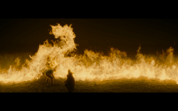 Harry Potter and the Half-Blood Prince - 756