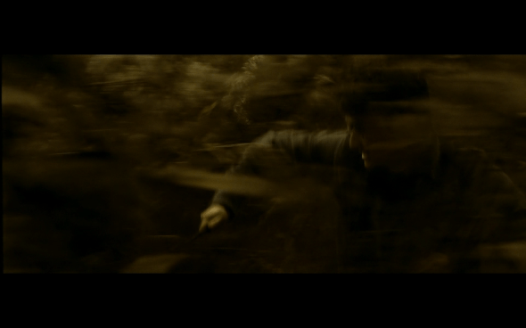 Harry Potter and the Half-Blood Prince - 761