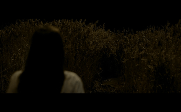 Harry Potter and the Half-Blood Prince - 765