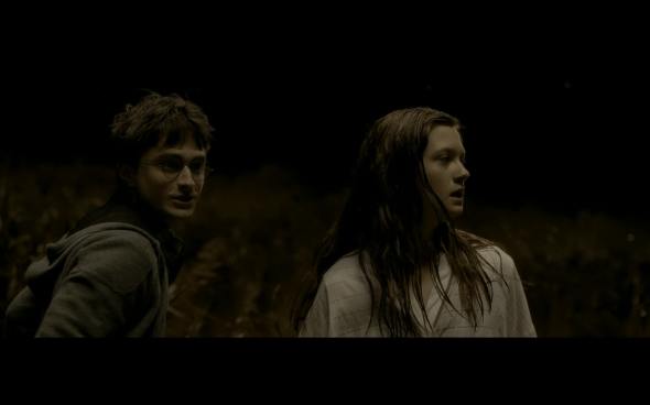 Harry Potter and the Half-Blood Prince - 771