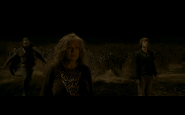 Harry Potter and the Half-Blood Prince - 785