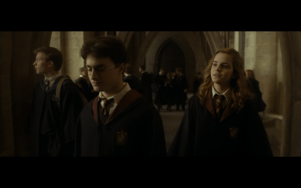 Harry Potter and the Half-Blood Prince - 791