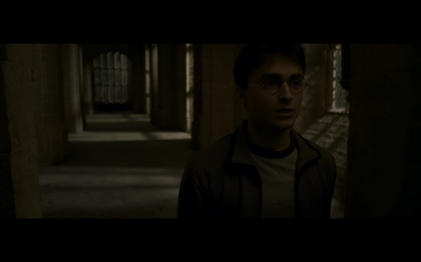 Harry Potter and the Half-Blood Prince - 803