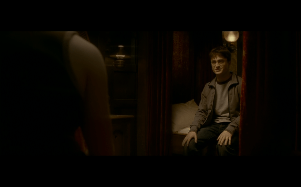 Harry Potter and the Half-Blood Prince - 810