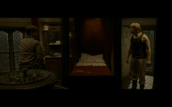 Harry Potter and the Half-Blood Prince - 811