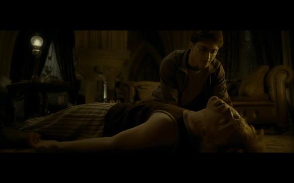 Harry Potter and the Half-Blood Prince - 829