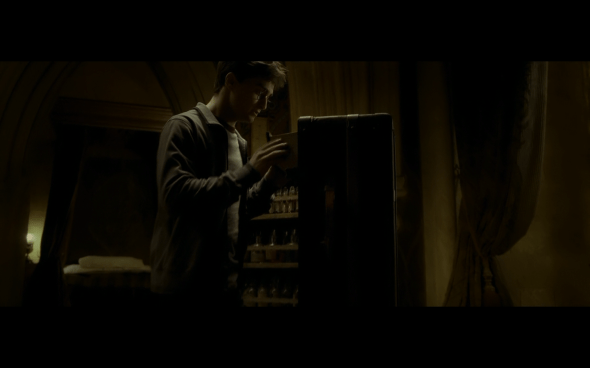 Harry Potter and the Half-Blood Prince - 831