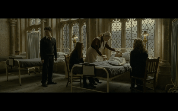 Harry Potter and the Half-Blood Prince - 837