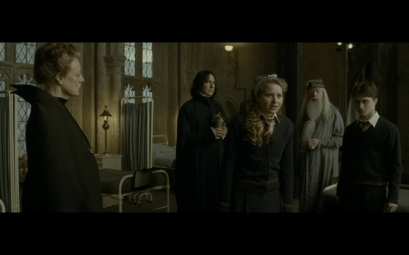 Harry Potter and the Half-Blood Prince - 848