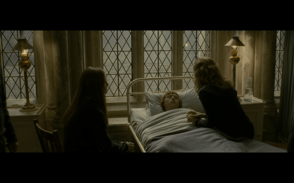 Harry Potter and the Half-Blood Prince - 853
