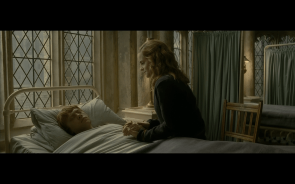 Harry Potter and the Half-Blood Prince - 861