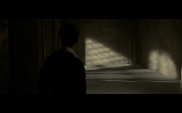 Harry Potter and the Half-Blood Prince - 865