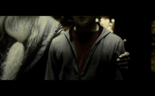 Harry Potter and the Half-Blood Prince - 9