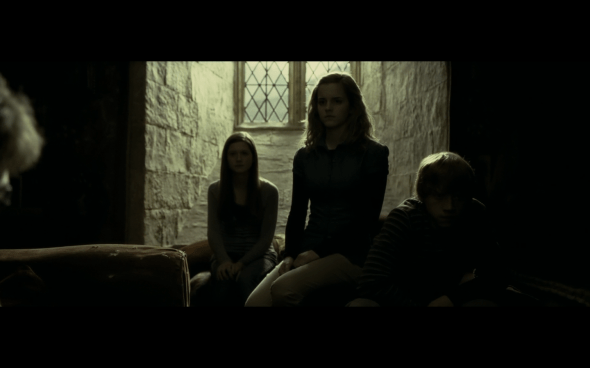 Harry Potter and the Half-Blood Prince - 906
