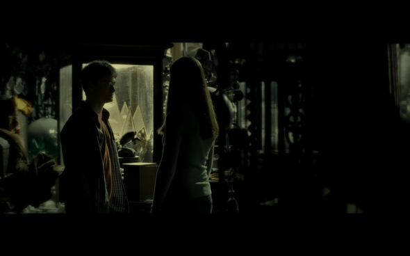 Harry Potter and the Half-Blood Prince - 914