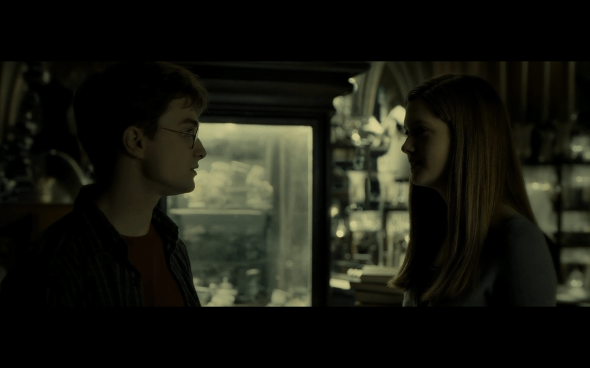 Harry Potter and the Half-Blood Prince - 915