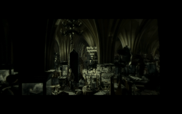 Harry Potter and the Half-Blood Prince - 917