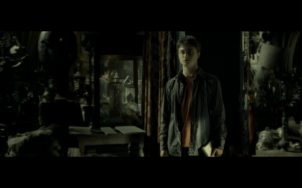 Harry Potter and the Half-Blood Prince - 919