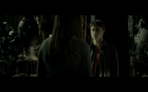 Harry Potter and the Half-Blood Prince - 924