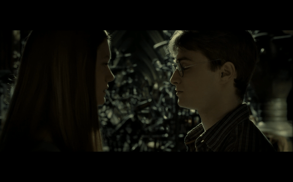 Harry Potter and the Half-Blood Prince - 927