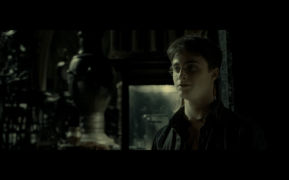 Harry Potter and the Half-Blood Prince - 934