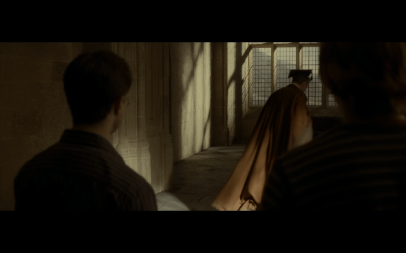 Harry Potter and the Half-Blood Prince - 939