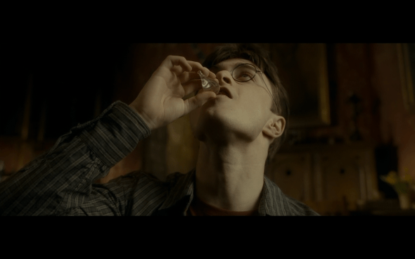 Harry Potter and the Half-Blood Prince - 942