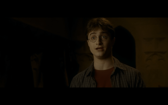 Harry Potter and the Half-Blood Prince - 949