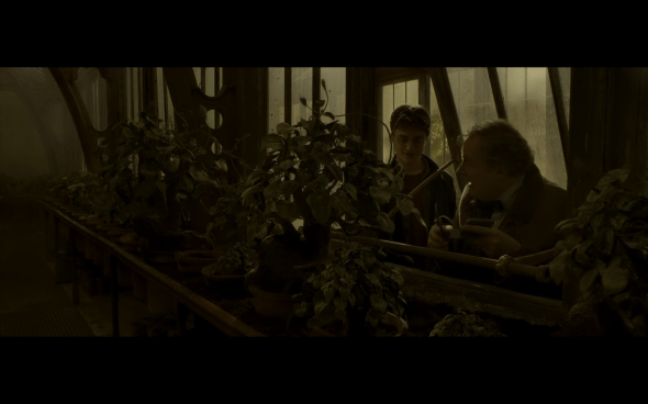 Harry Potter and the Half-Blood Prince - 955