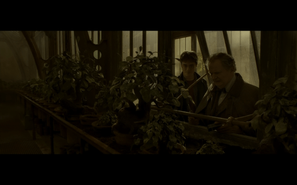 Harry Potter and the Half-Blood Prince - 958