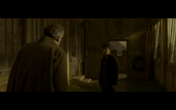 Harry Potter and the Half-Blood Prince - 961