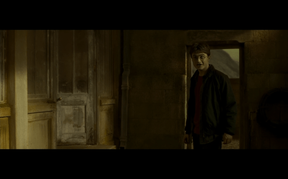 Harry Potter and the Half-Blood Prince - 963