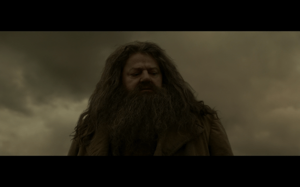 Harry Potter and the Half-Blood Prince - 975