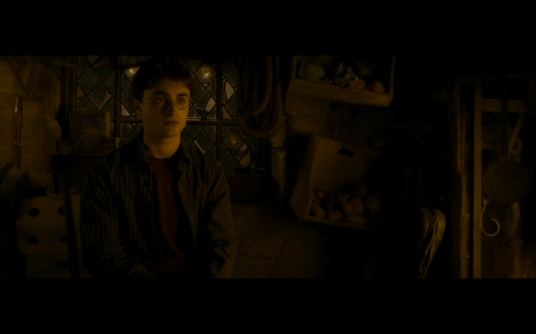 Harry Potter and the Half-Blood Prince - 989