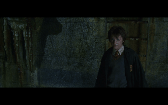 Harry Potter and the Chamber of Secrets - 1008