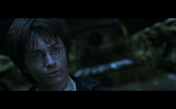 Harry Potter and the Chamber of Secrets - 1041