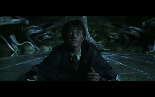 Harry Potter and the Chamber of Secrets - 1059