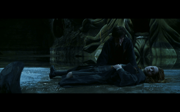 Harry Potter and the Chamber of Secrets - 1079