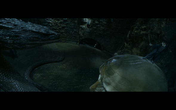 Harry Potter and the Chamber of Secrets - 1089