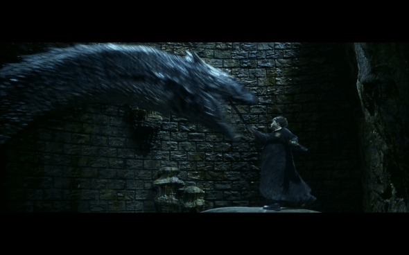 Harry Potter and the Chamber of Secrets - 1093