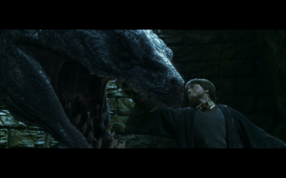 Harry Potter and the Chamber of Secrets - 1095