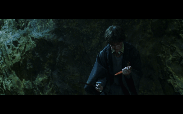 Harry Potter and the Chamber of Secrets - 1096