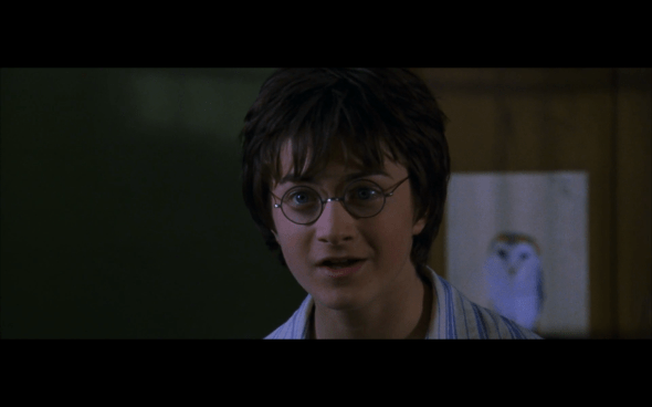 Harry Potter and the Chamber of Secrets - 111