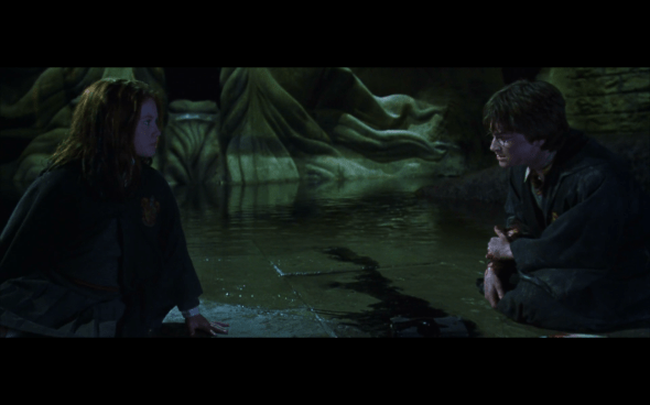Harry Potter and the Chamber of Secrets - 1118