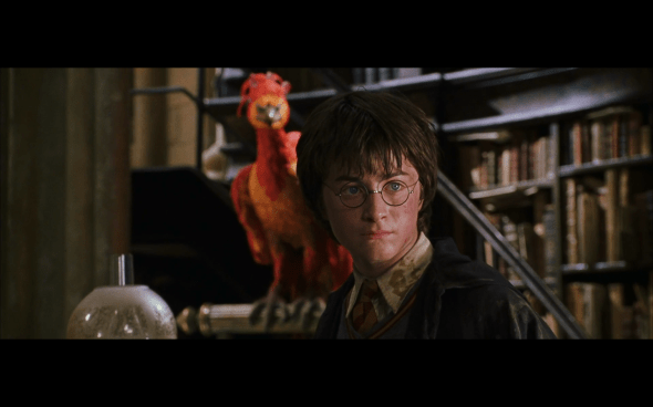 Harry Potter and the Chamber of Secrets - 1173