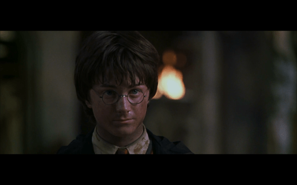 Harry Potter and the Chamber of Secrets - 1189