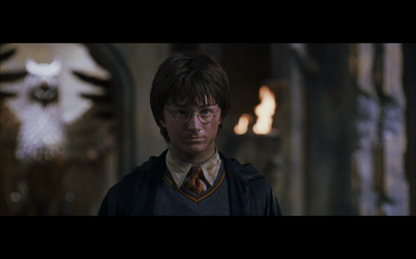 Harry Potter and the Chamber of Secrets - 1202