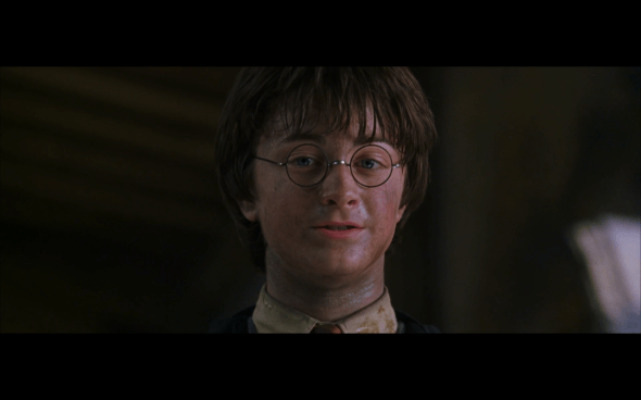 Harry Potter and the Chamber of Secrets - 1204