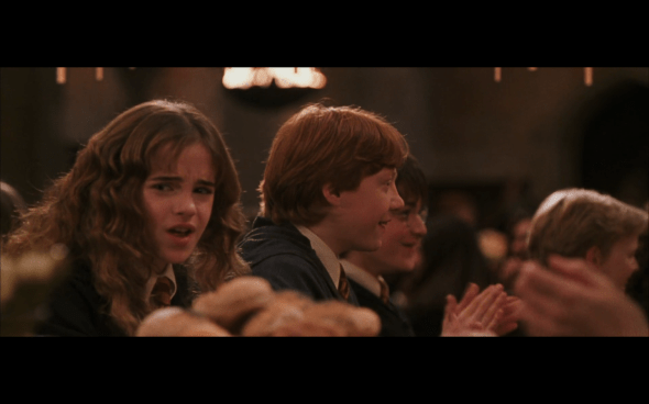 Harry Potter and the Chamber of Secrets - 1219