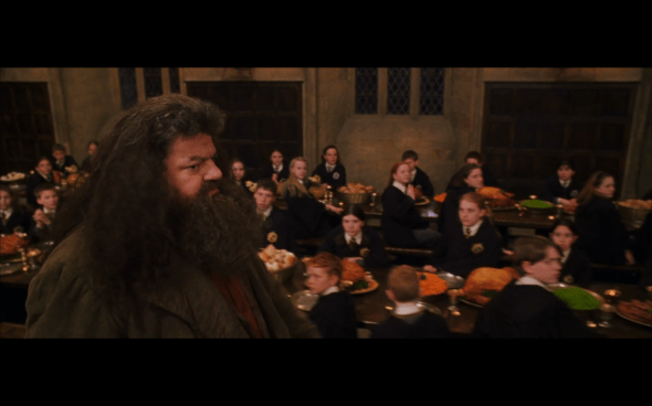 Harry Potter and the Chamber of Secrets - 1223